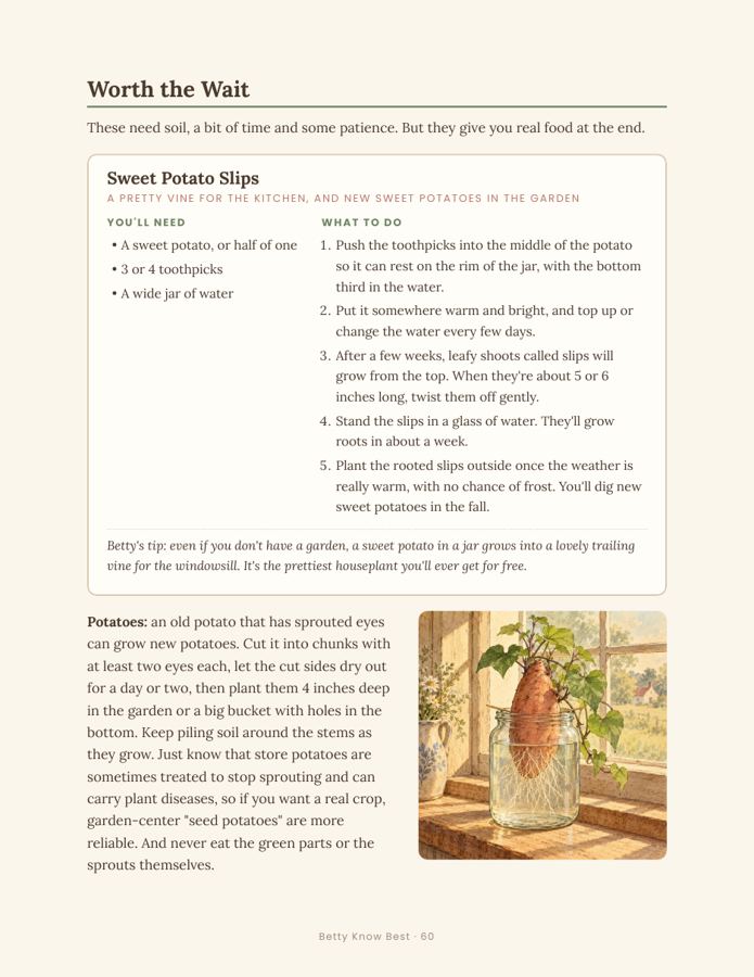Book page: growing sweet potato slips from a kitchen scrap